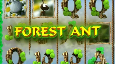 forest ant 1